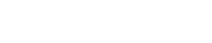 light logo